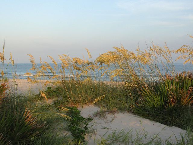 seaoats_1623.jpg