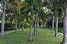 050_central_florida_083