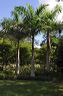 050_central_florida_098