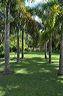 050_central_florida_113