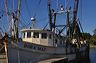 shrimp_boat