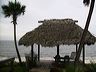 tiki_hut___palapa