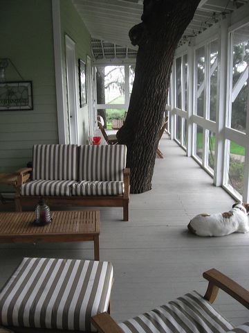 porch_with_tree.jpg