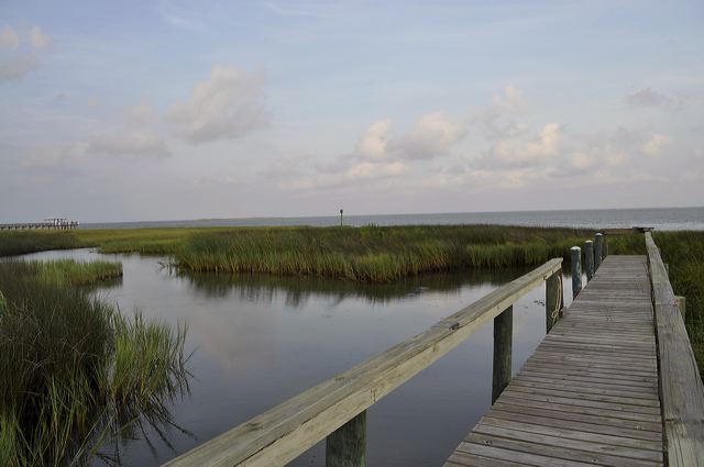 apalach-res.jpg