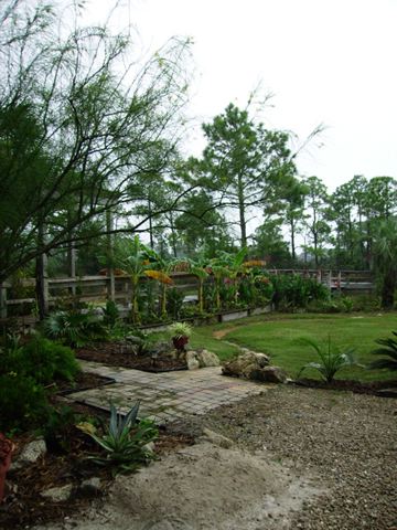 imgp0681.jpg