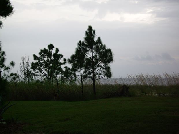 imgp0685.jpg