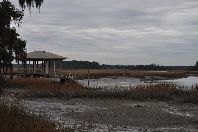 dsc_0241.jpg