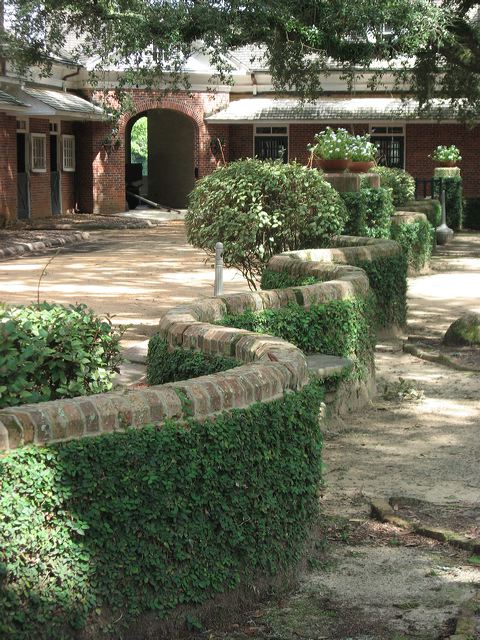 sa_(2508).jpg