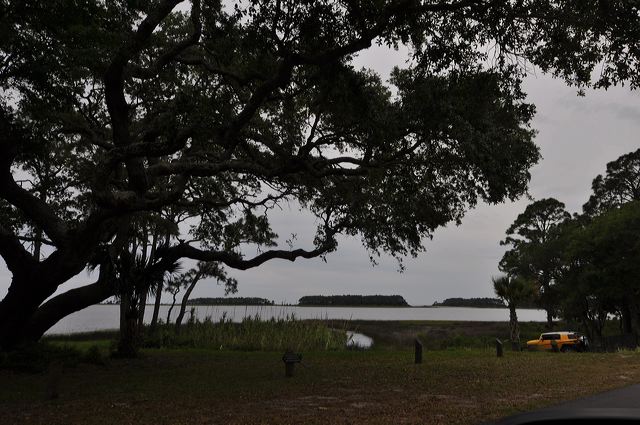 dsc_0313.jpg