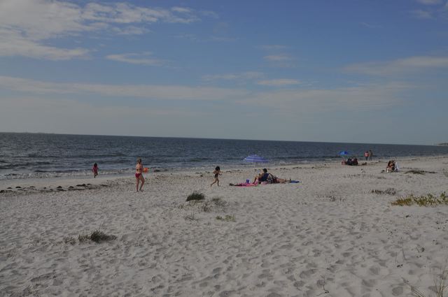 dsc_0289.jpg