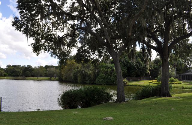 050_central_florida_052.jpg