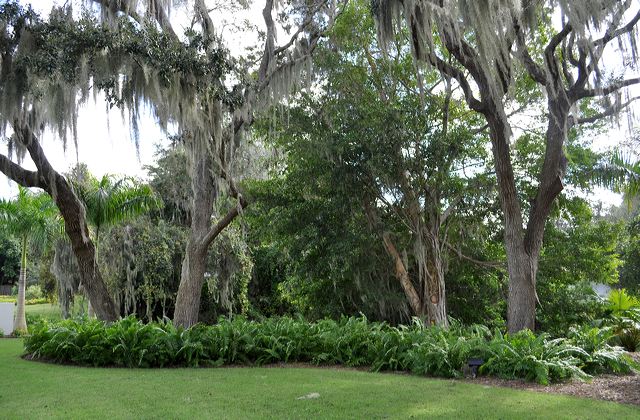 050_central_florida_060.jpg