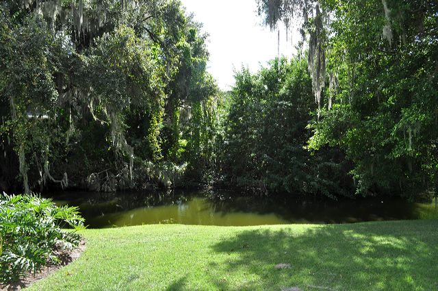 050_central_florida_062.jpg