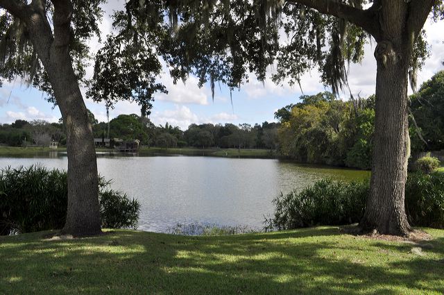 050_central_florida_075.jpg