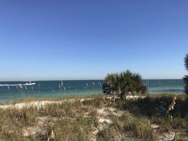 img_8084.jpg