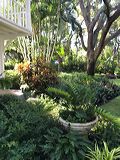 img_8421