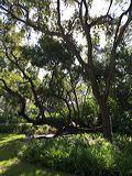 img_8424