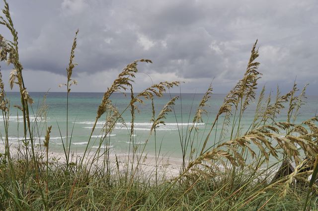 dsc_0067.jpg