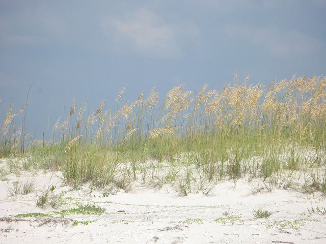 img_1658.jpg