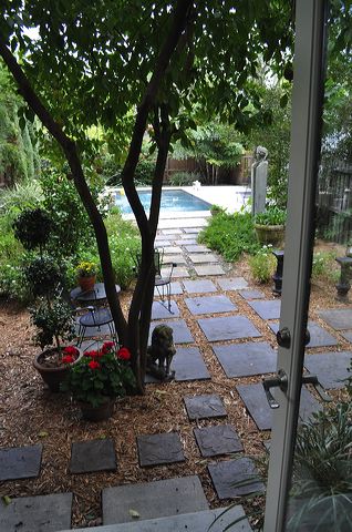 central_florida_243.jpg
