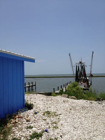 img_3675.jpg